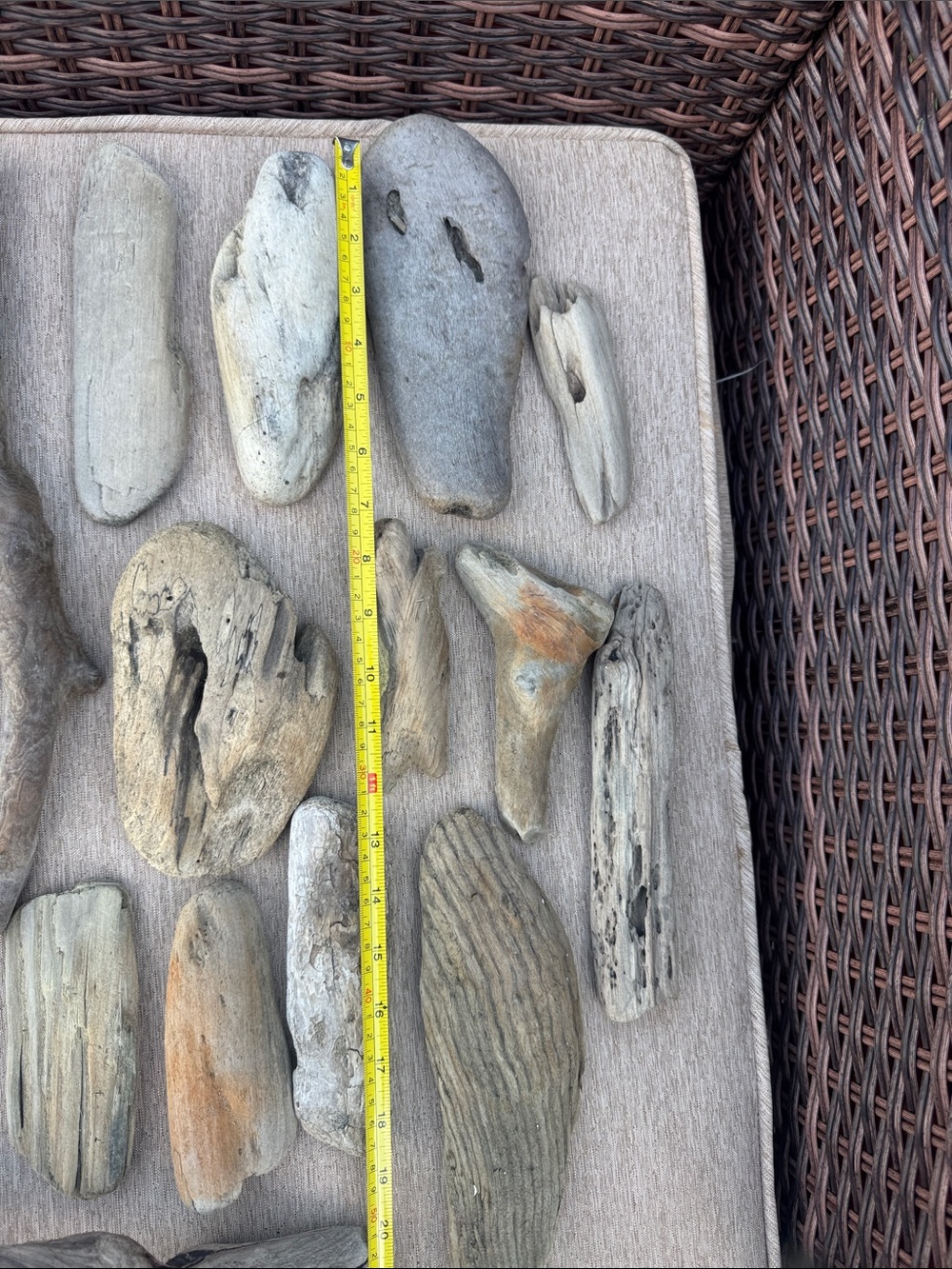 20 Pacific Beach Natural Driftwood Collection - Assorted Beach Wood Pieces - Picture 3 of 10